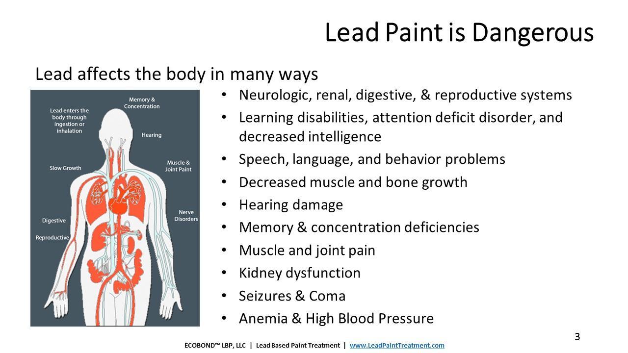 ECOBONDhow lead affects the body