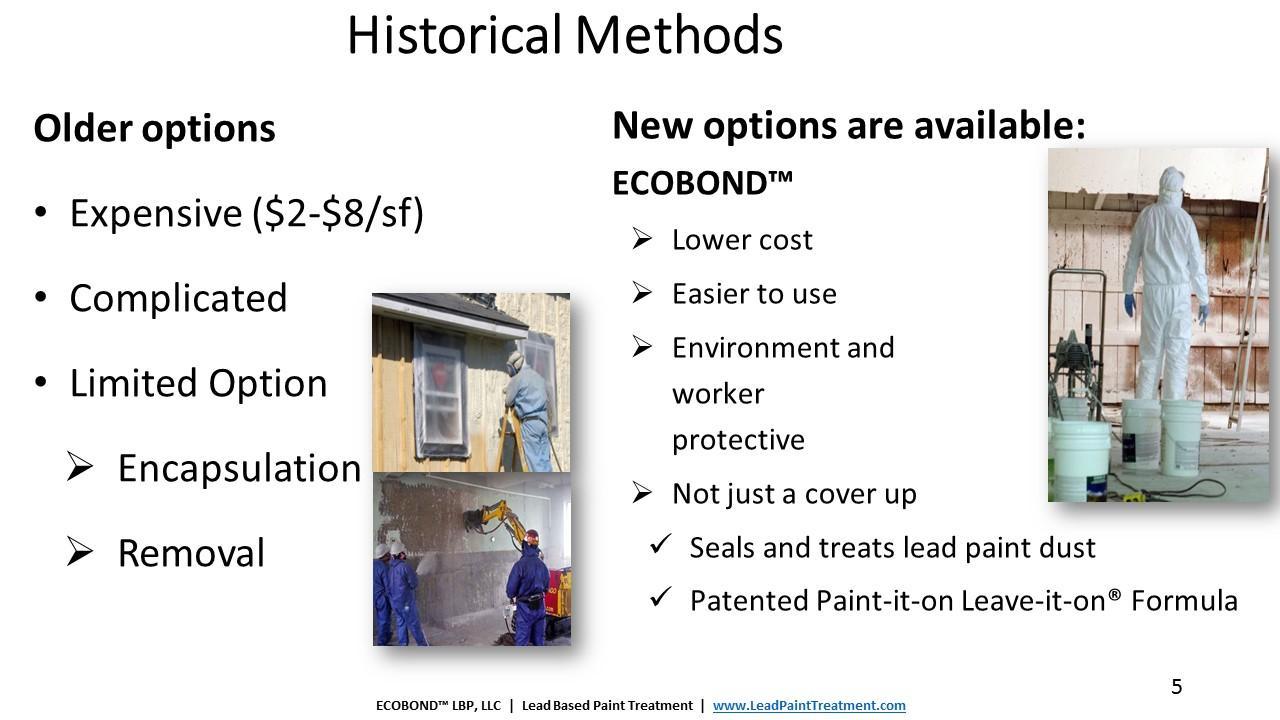 Lead paint removal cost