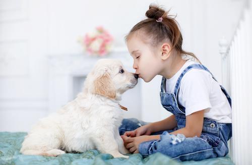 child with puppy shutterstock 503609692